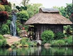 【浙江杭州港龍木屋】木屋-現代旅游產地的新寵兒
